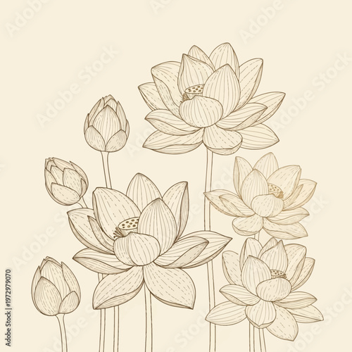 Detailed botanical line drawing of several blooming lotus flowers and unopened buds featuring intricate petal vein textures and long stems isolated on a neutral beige background.