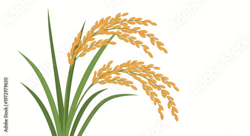 Detailed vector illustration of a ripe rice plant with golden-yellow ears of grain and green leaves, isolated on white background, representing agriculture, cereal harvesting, and paddy farming.