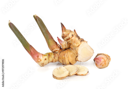 Tableau sur toile A close-up image of fresh galangal root (Alpinia galanga) separated from a white background
