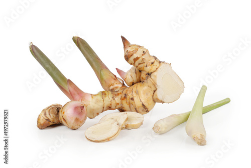 Tableau sur toile A close-up image of fresh galangal root (Alpinia galanga) separated from a white background
