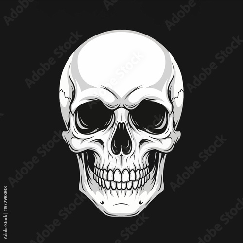 Detailed vector illustration of a human skull in a frontal view isolated on a solid black background, featuring intricate line work, anatomical shading, jawbone, and teeth.