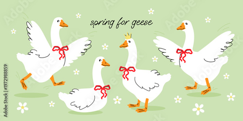 Spring for geese. Cute geese with a red bows in different poses, funny characters and flowers. Poster and print design, kids textile and nursery decor. Flat llustration on green background. 