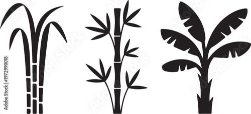 tropical plants sugarcane bamboo and banana leaves clean silhouette vector illustrations