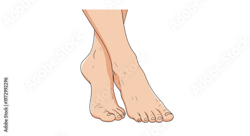 Close-up illustration of bare female feet and toes against white background representing foot care and health maintenance.