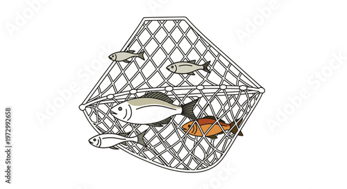 Fish trapped in a fishing net basket.