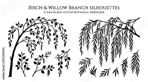 A clean black vector illustration featuring silhouettes of birch and willow branches with detailed leaf structures