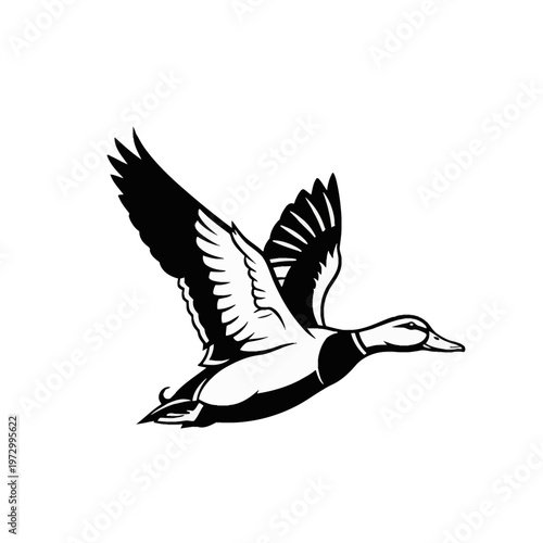Black and white vector illustration of a mallard duck flying with wings spread wide, side view silhouette style with detailed feathers isolated on a plain white background.