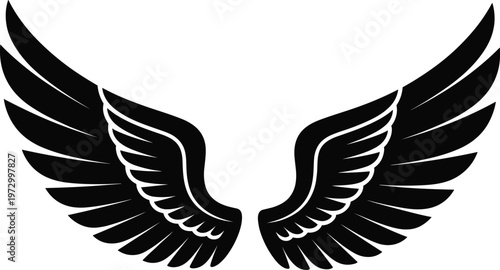 Angel wings silhouette, black feather wings illustration for tattoo logo and spiritual design