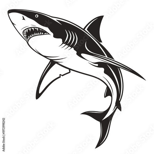 Great white shark vector illustration, aggressive predatory fish mascot, black and white shark icon