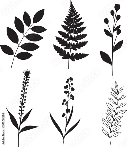 Collection of black botanical silhouettes featuring diverse plants and foliage, vector illustrations.