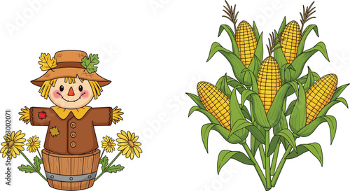 Autumn Farm Harvest Illustration Featuring Cute Scarecrow Character with Flowers and Fresh Corn Maize Plants for Agricultural and Seasonal Design Projects