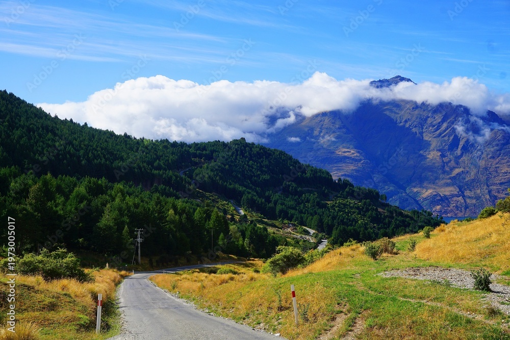 Naklejka premium Queenstown, New Zealand: Landscape on the way to Moke lake near Queenstown 