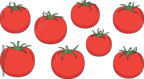 Vector Illustration of Nine Fresh Red Tomatoes with Green Stems on a White Background