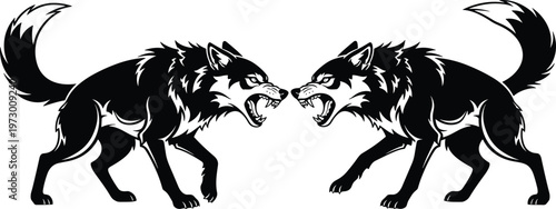 Aggressive black and white vector illustration of two snarling wolves facing each other in a standoff featuring sharp teeth and detailed fur textures on white background.
