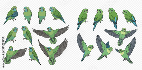 Green Parrots and Lovebirds Collection: Various Poses and Flights.