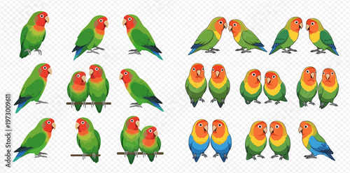 Set of colorful lovebirds in various poses and color variations, isolated on a transparent background.
