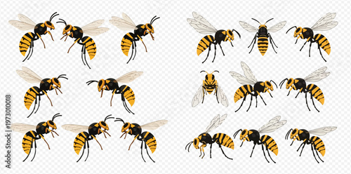 Set of vector illustrations of yellow and black striped wasps in various poses, flying and standing, isolated on a transparent background.