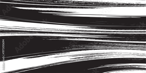 Valokuva Abstract Black and White Brush Stroke Background Texture.
