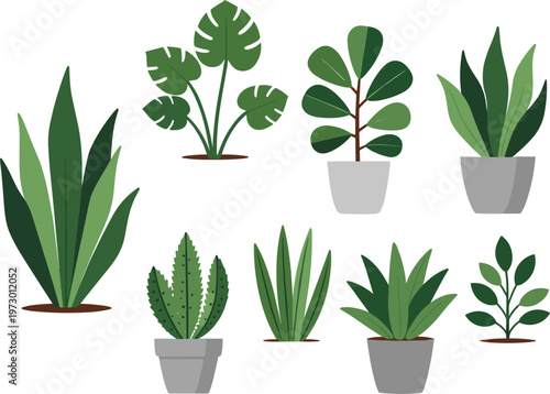 Collection of Beautiful Green Houseplants and Potted Indoor Greenery Icons Isolated on White Background for Interior Design Projects Home Gardening and Nature Branding