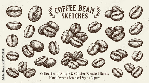Hand drawn coffee bean outline set for cafe and beverage design