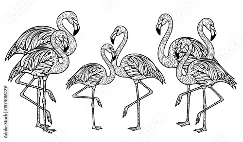 A minimalist black and white illustration of flamingos in various poses