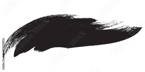 Fotografie Black ink brush stroke on white background.