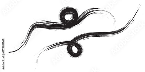Abstract Black Ink Brush Strokes Swirls and Curves.