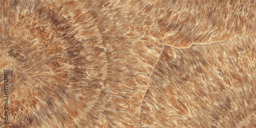 Konstfotografi Natural marble texture and background high resolution, Marble, Texture, brown, slab, italian, granite, wall tiles, floor tiles, porcelain tile, vitrified tiles, stone texture, gvt, pgvt, background