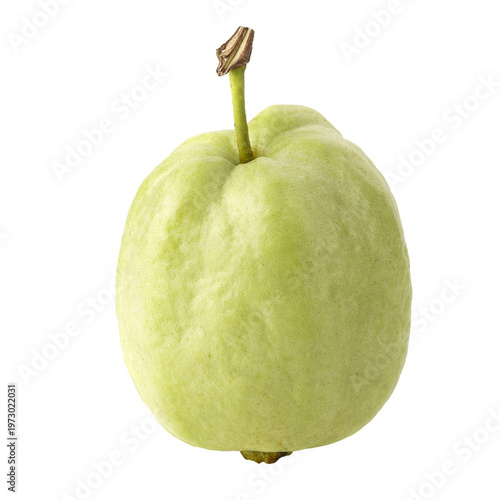 Green Ripe Guava isolated on a transparent background