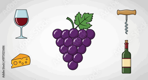 Purple Grapes for Wine Production.