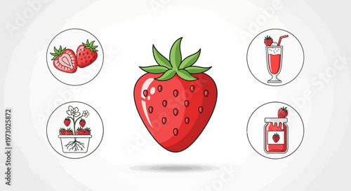 Fresh red strawberry fruit alone.