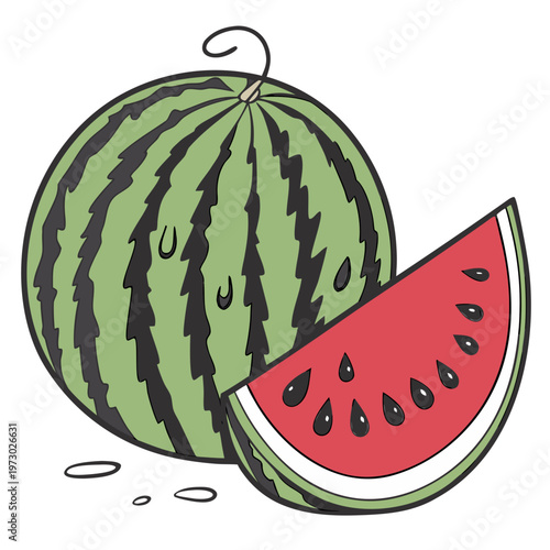 Fresh Watermelon on Transparent White Background