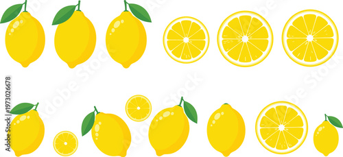 Fresh Lemon Set with Whole and Sliced Lemons for Food and Beverage Illustrations