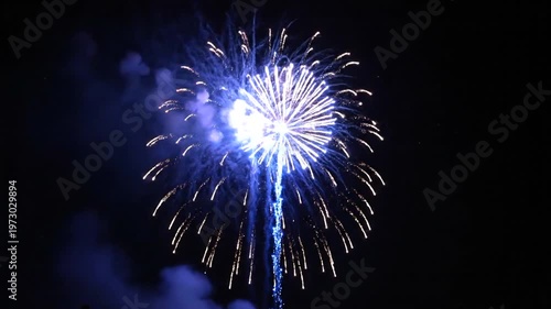 Stunning Fireworks Display Illuminating the Night Sky with Vibrant Colors and Explosions.