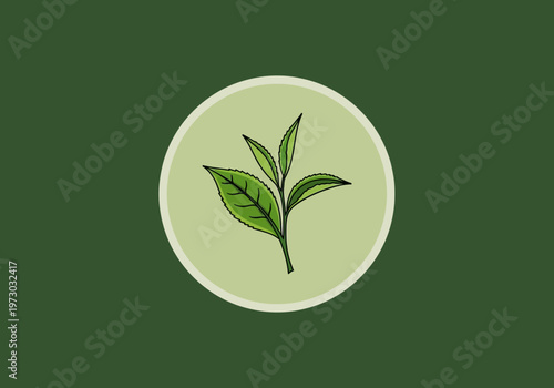 Elegant Tea Leaf Illustration in a Circular Frame on Green Background.