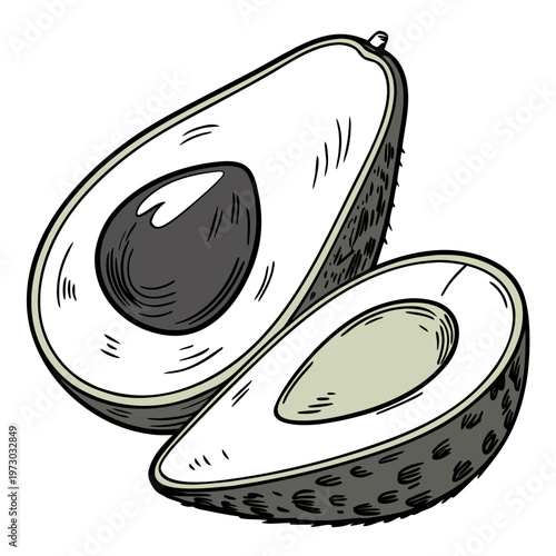 Fresh Avocado on Transparent White Background