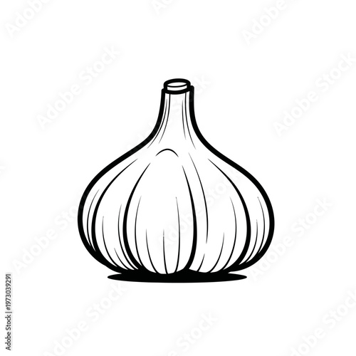 Black and white drawing of garlic.
