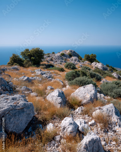 Rocky limestone plateau with dry grass and shrubs above a distant blue sea