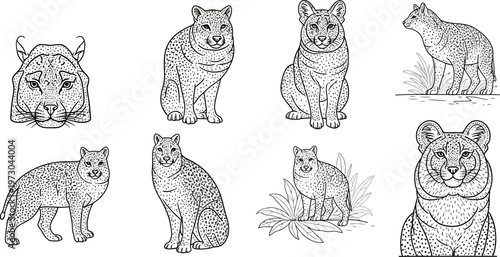 Vector set of cute cartoon animals and pets featuring a funny cat, kitten, dog, and tiger character design illustration in a flat drawing art style