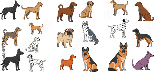 Dog breeds cartoon collection with various domestic dogs different sizes and poses vector illustration set of pets isolated on light background