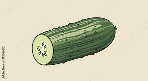Cucumber Vegetable Fresh Green Fruit.