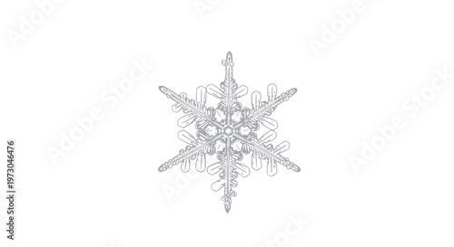 Delicate Snowflake with Intricate Crystal Structure.