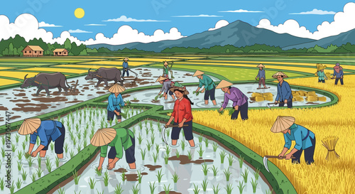 Asian Farmers Working in Rice Paddy Fields, Traditional Farming, Rural Landscape