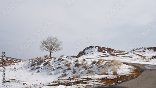 Winter landscape in Kazakhstan. Road A351 near Kokpek. 