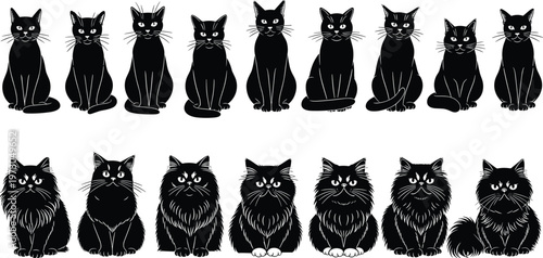 This title highlights the contrast between the two styles (short-haired and long-haired), while keeping it sleek and appealing for buyers.