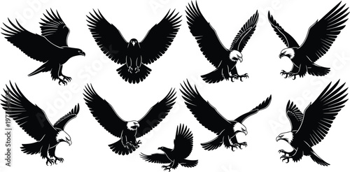 This title emphasizes both the subject (eagles) and the dynamic motion, while keeping it professional and marketplace-ready.