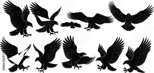 This title emphasizes the dynamic poses (flying, landing) and makes clear it’s a vector collection—perfect for Adobe Marketplace buyers who want bold, symbolic animal graphics.