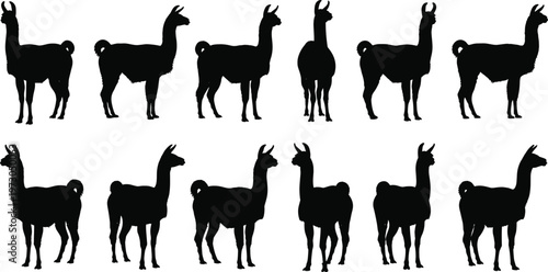 (Elegant, clear, and highly searchable—perfect for buyers looking for animal silhouettes and decorative graphics.)