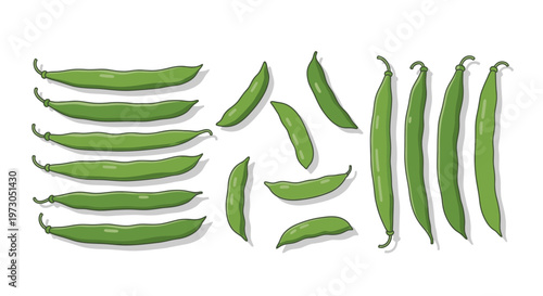 Stylized illustration of fresh green bean pods on a white background