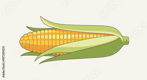Fresh Corn on the Cob.